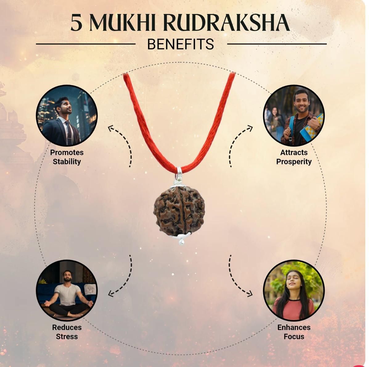 Maha  saavan Combo - 5 Mukhi Rudraksha With Bracelet